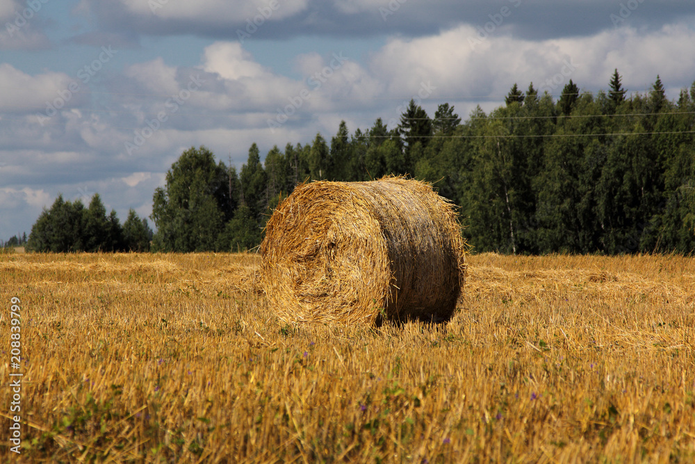 a haystack in a field in autumn.