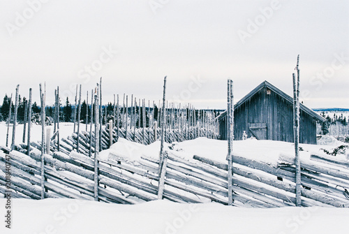 Snow-Covered Wooden Fence and Cabin in White Norwegian Winter Landscape photo