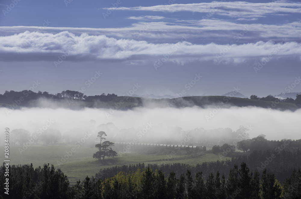 Morning in the Southern Highlands