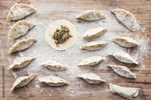 Food: japanese (inspired) gyoza ravioli with vegetable quinoa filling,vegan