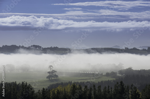 Morning in the Southern Highlands © Peter
