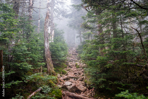 A trail deep in the mountains of New Hampshire