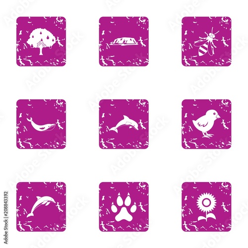 Animate essentiality icons set. Grunge set of 9 animate essentiality vector icons for web isolated on white background