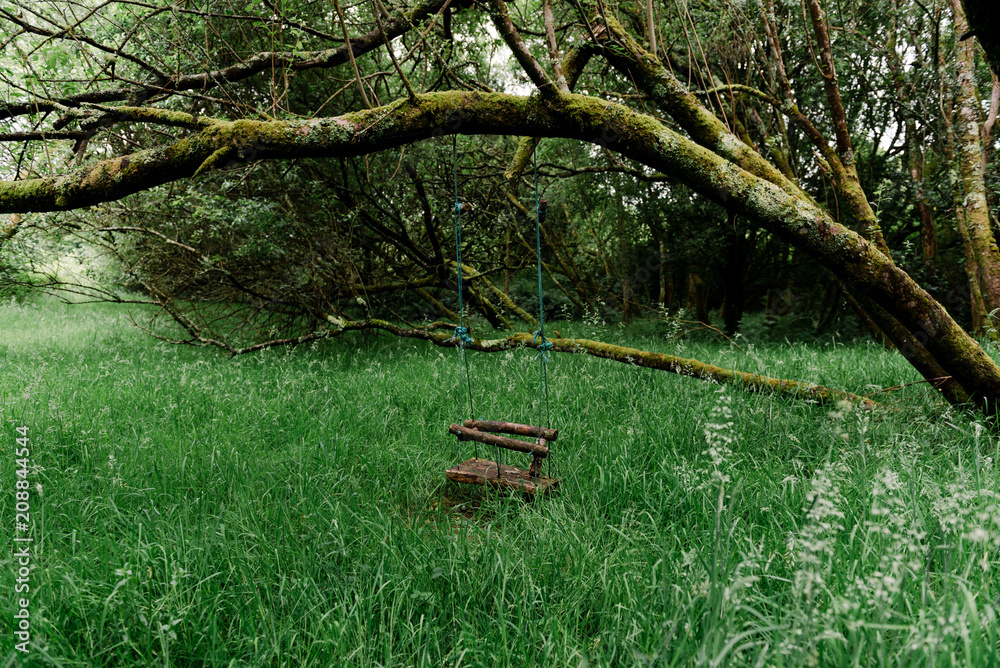abandoned swing under a tree abandoned swing under a tree