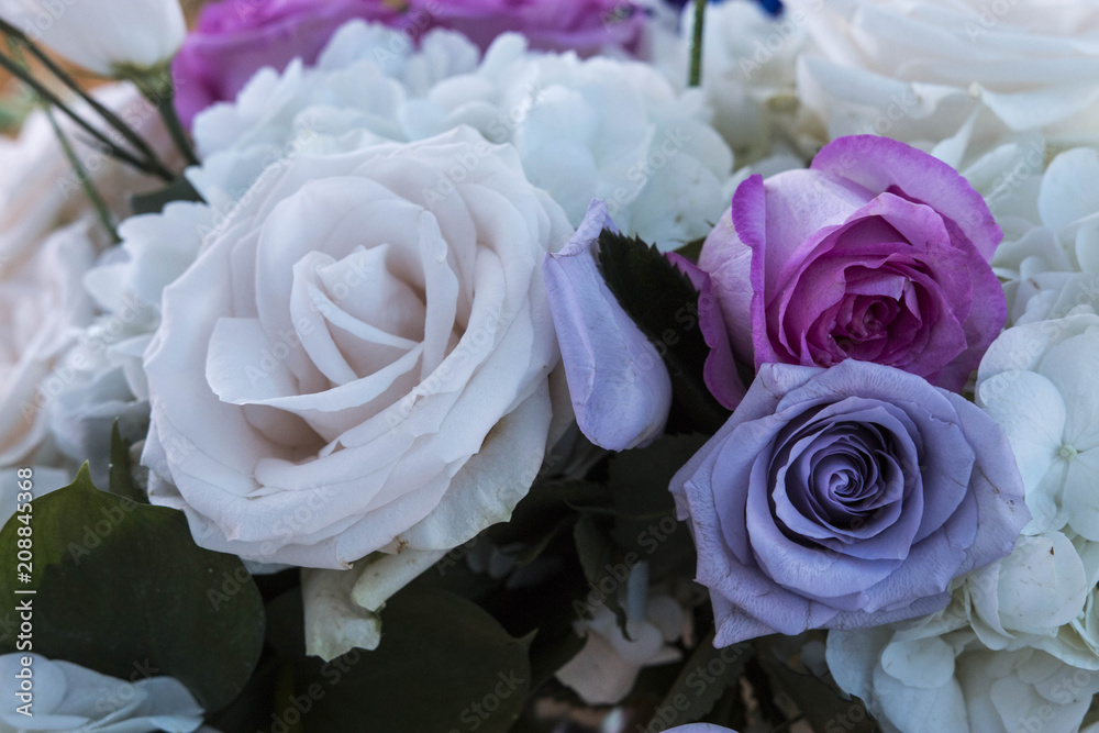 Beautiful Flowers Beautiful Flowers