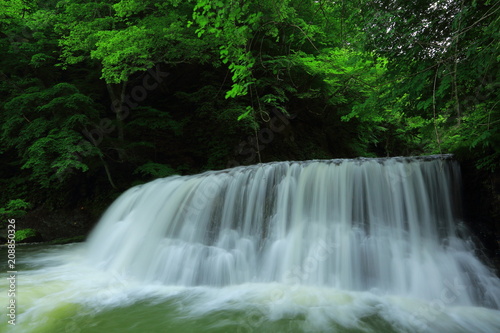 葛丸渓流 新緑の一の滝 © yspbqh14
