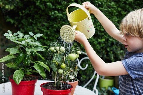 Child watering the plants