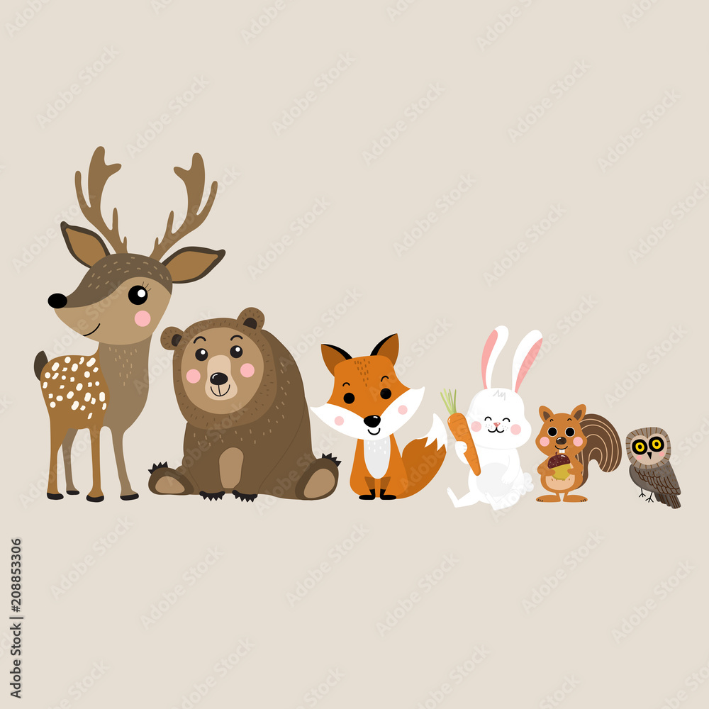 Rabbit And Bear Cartoon