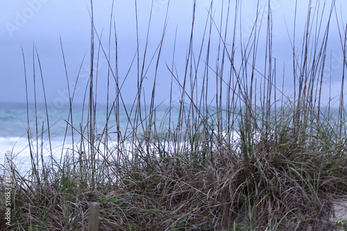 View Through the Dunes