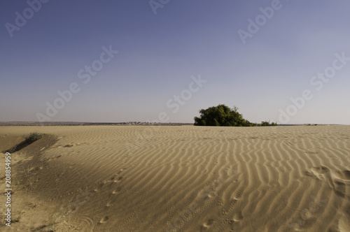 An Oasis on the Horizon of the Thar Desert, India