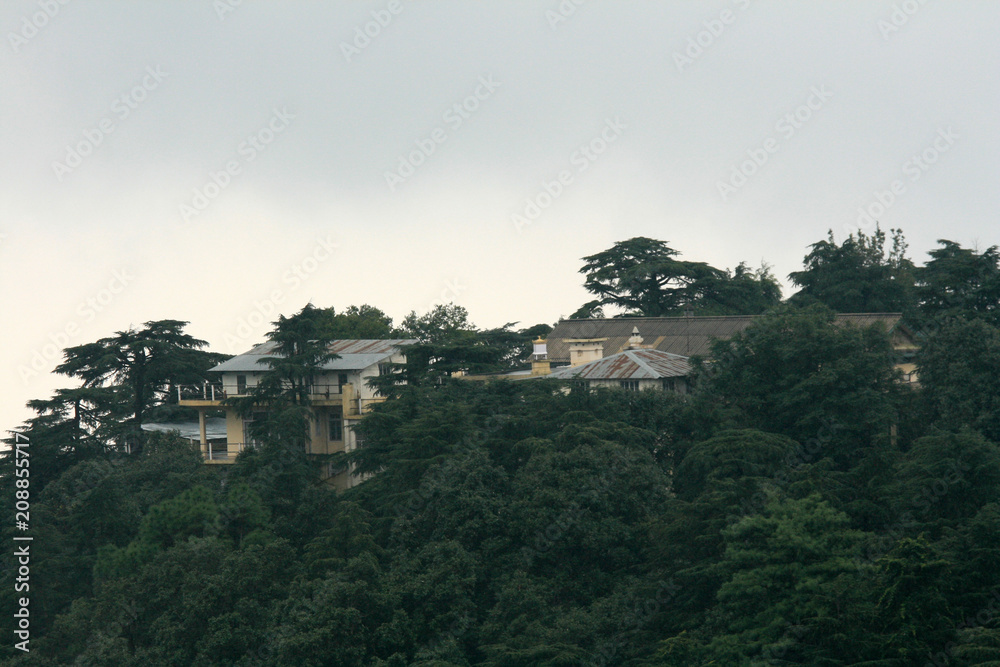 TsuglagkhangComplex(ResidenceOfDalaiLama), Mcleod Ganj, India