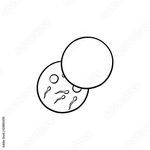Sperms and eggs in lab glass hand drawn outline doodle icon. In vitro fertilization, sperm and ova donation vector sketch illustration for print, web, mobile and infographics on white background.