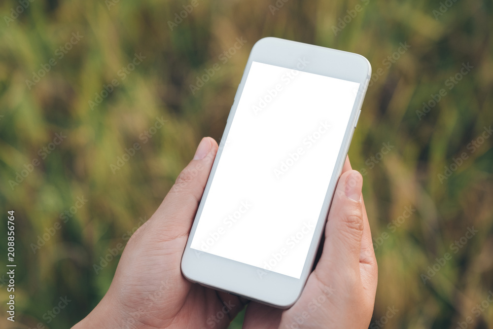Mockup image of a hand holding white mobile phone with blank desktop screen with blur green nature background