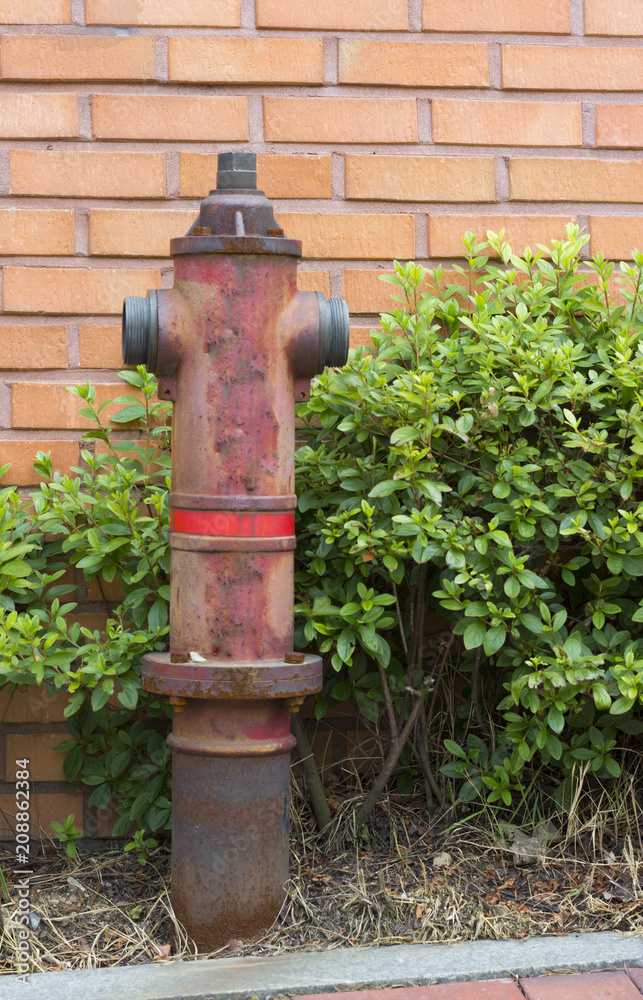 Red fire hydrant in retro style close-up against a brick wall and green plant Red fire hydrant in retro style close-up against a brick wall and green plant