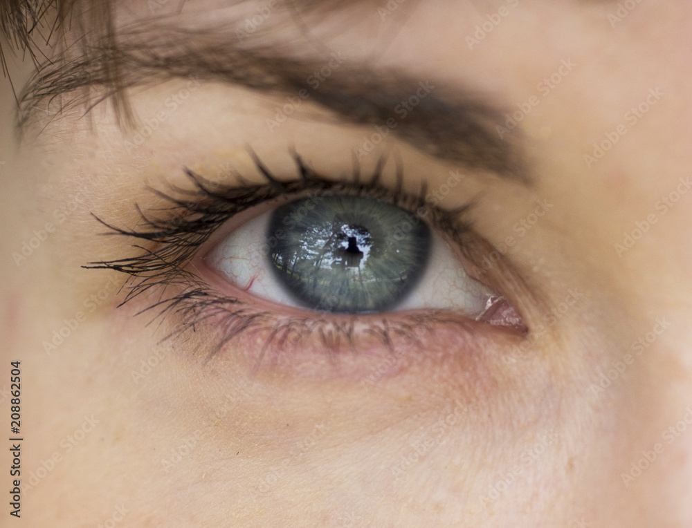Obraz premium Beautiful blue eye girl close-up