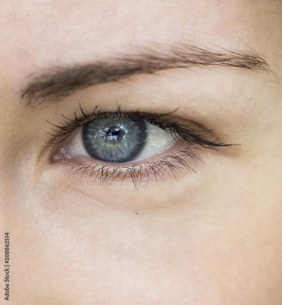 Beautiful blue eye girl close-up. macro portrait of female face. Beautiful blue eye girl close-up. macro portrait of female face.