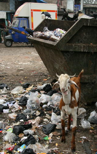 Slums / Shanty Towns, Mumbai, India