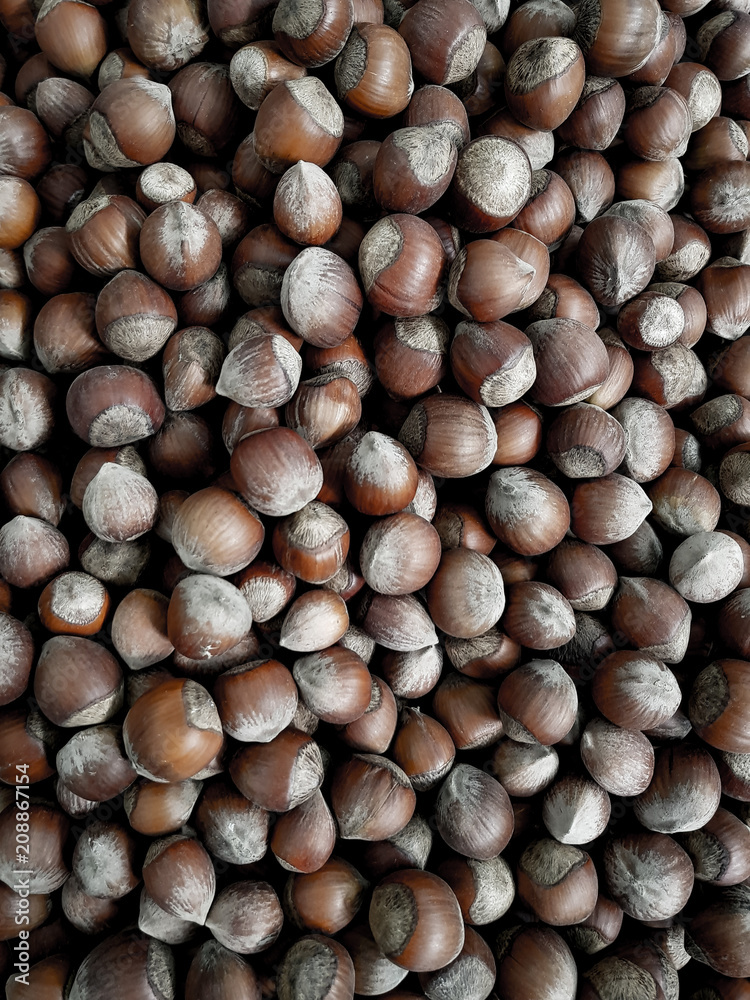 Top view of shelled hazelnuts. Texture for nuts. Top view of shelled hazelnuts. Texture for nuts.