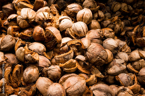 Brown dry husk of coconut peel.