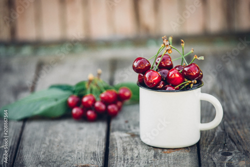 Ripe Organic Freshly Picked Sweet Cherries in Vintage Enamel Mug on Green Foliage Garden Nature Background. Summer Harvest Vitamins Clean Eating Freshness Vegan. Poster Banner Template