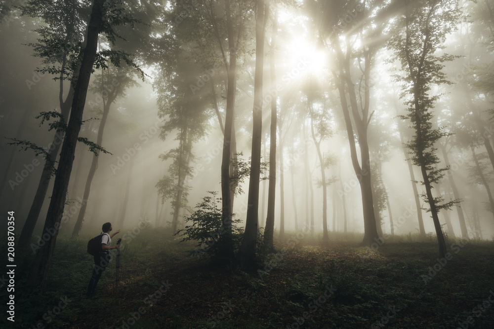 Man in awe in enchanted forest with fog with sun rays Man in awe in enchanted forest with fog with sun rays