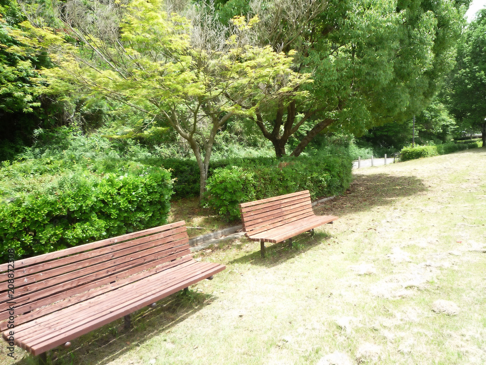 運動公園のベンチ 運動公園のベンチ