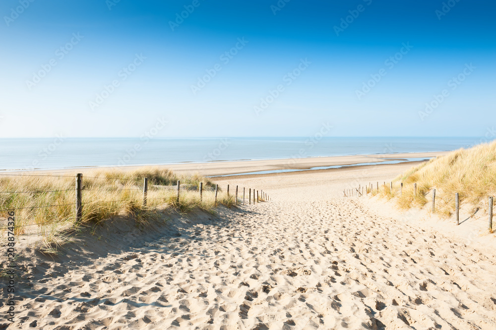 Sandy dunes on the sea coast, Netherlands