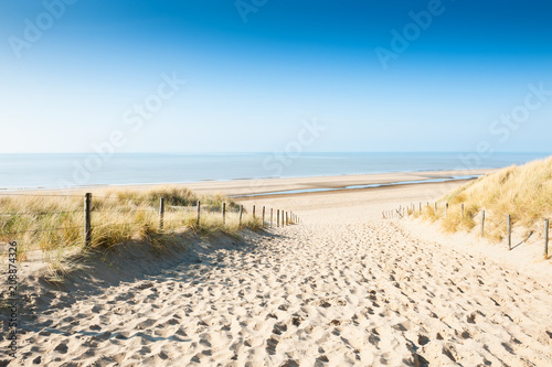 Obraz na płótnie Sandy dunes on the sea coast, Netherlands w salonie