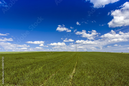 Green field and blue sky