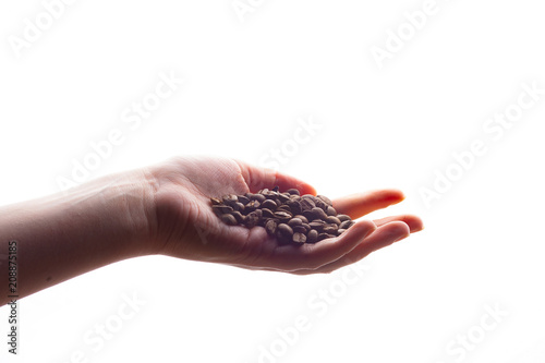 Hand with coffee beans on white background