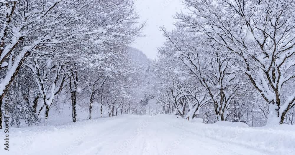 snowfall on winter road.