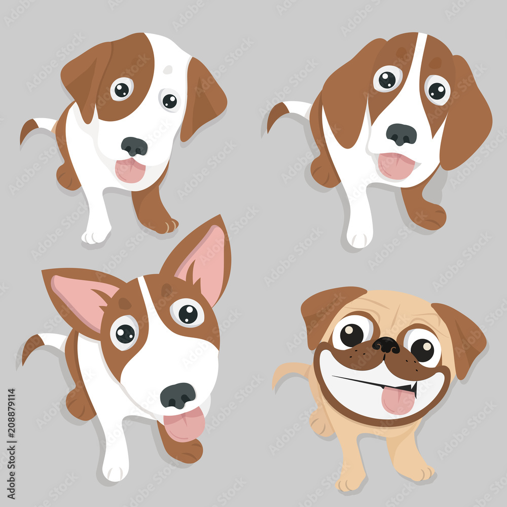 Variety of cute dog sitting down set Variety of cute dog sitting down set