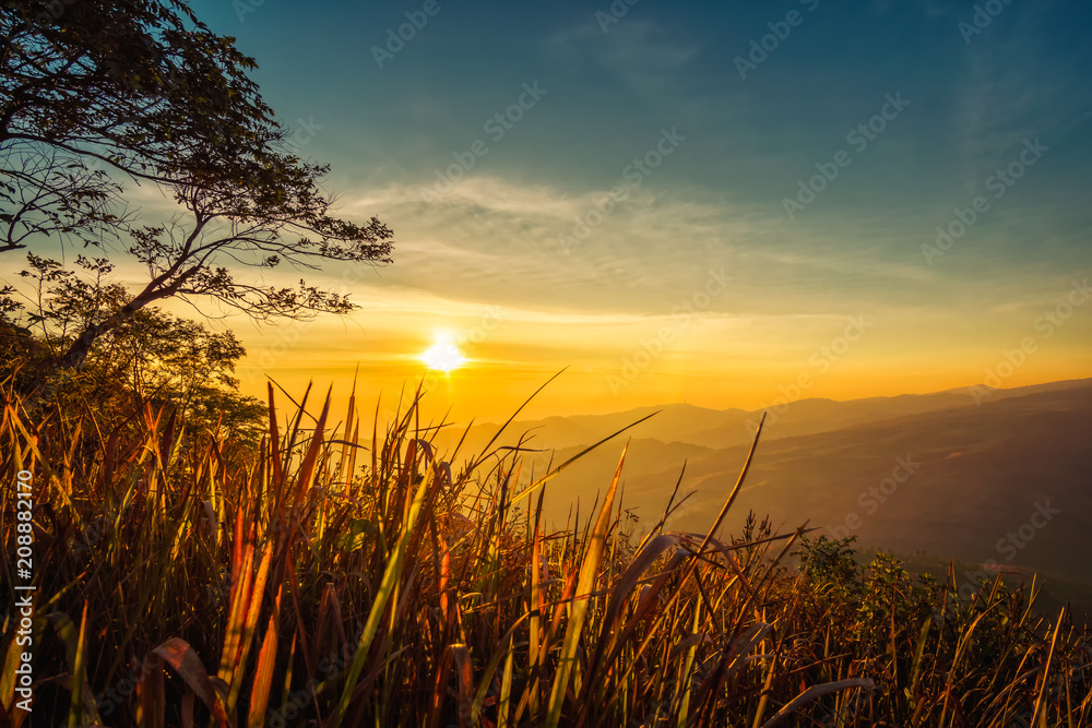 Obraz premium Landscape from the top of mountain
