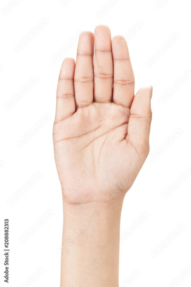 Right hand shown as palm from front isolated on white background. Right hand shown as palm from front isolated on white background.