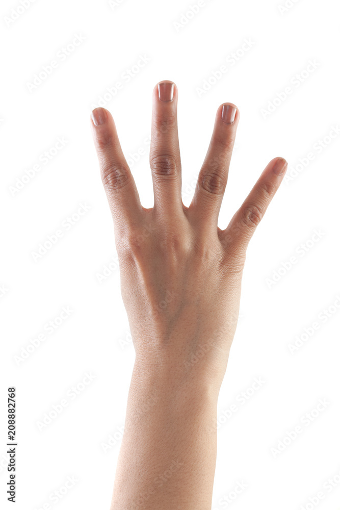 Right hand shown as number Four from back isolated on white background. Right hand shown as number Four from back isolated on white background.