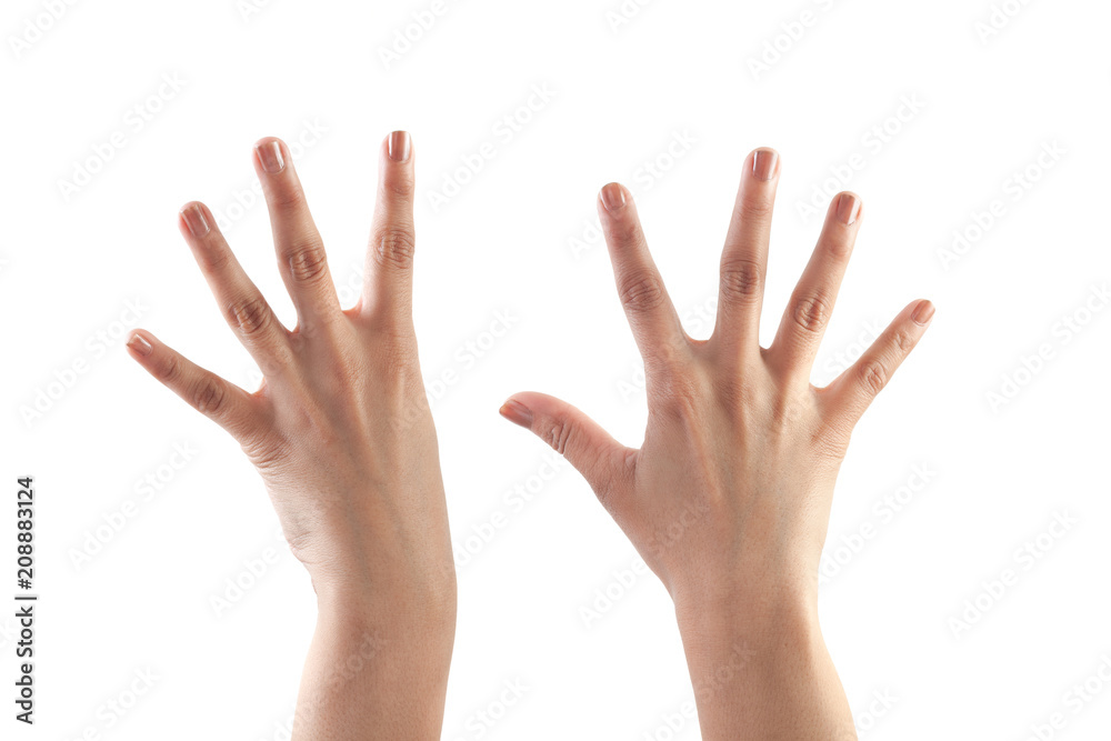 Right hand shown as number Nine from back isolated on white background. Right hand shown as number Nine from back isolated on white background.