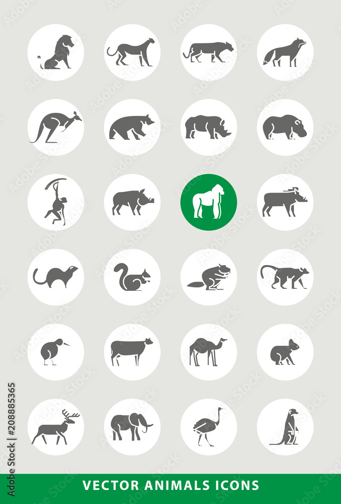 Set of Elegant Universal Black Animals Minimalistic Solid Icons on Circular Colored Buttons on Grey Background