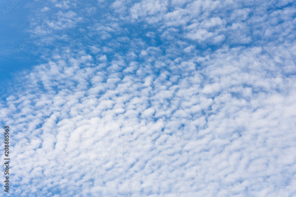 Cloudscape with altocumulus clouds at sunny day. Cloudscape with altocumulus clouds at sunny day.