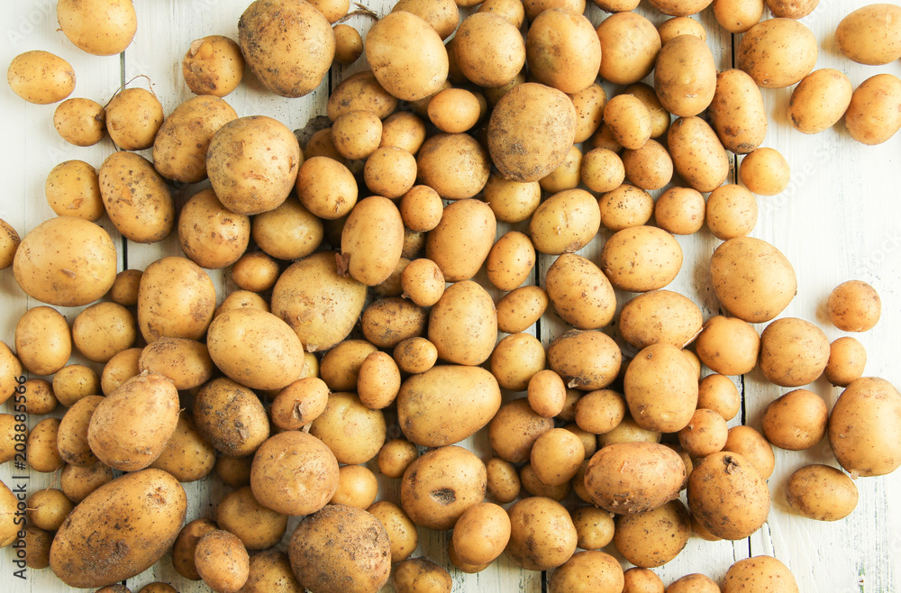viele verschiedene Kartoffeln Haufen Hintergrund Kartoffel viele verschiedene Kartoffeln Haufen Hintergrund Kartoffel
