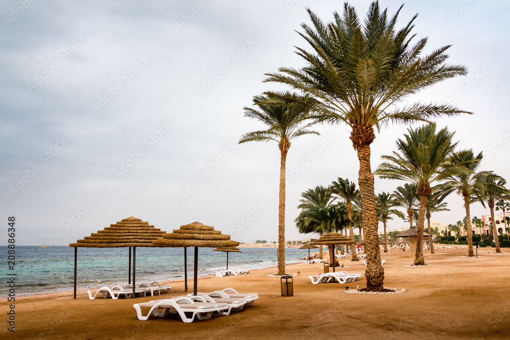 Beach with palms and umbrellas in a Windy and cloudy day