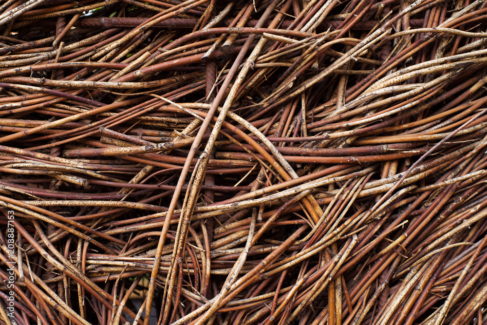 Textural background from dry branches. Natural plant texture Textural background from dry branches. Natural plant texture