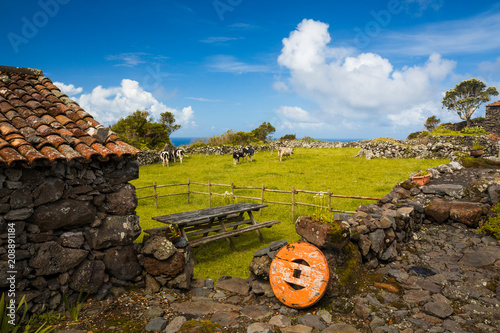 Azores typicalhouse photo