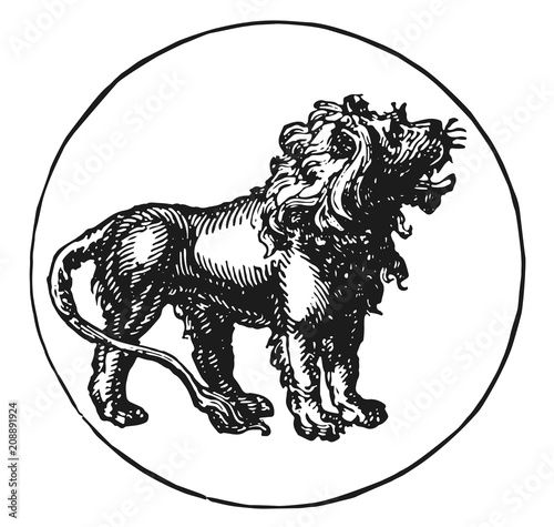 zodiac sign lion  vector  isolated - Sternzeichen Löwe © endstern