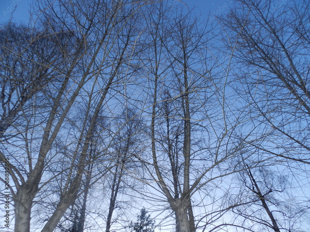Ural summer Ural summer