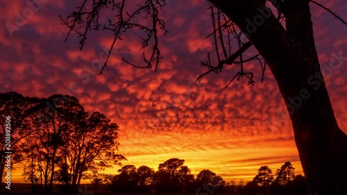 Fluffy Color Clouds Sunrise Time Lapse Tree Silhouette Open Australian Country Side landscape Beauty