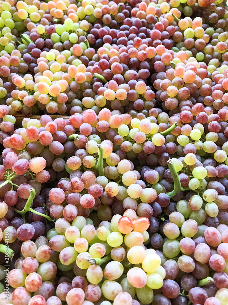 Early summer harvest pink grapes closeup, vertical. Early summer harvest pink grapes closeup, vertical.
