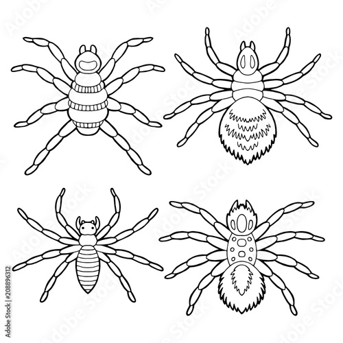 Spider set graphic black white isolated sketch illustration vector