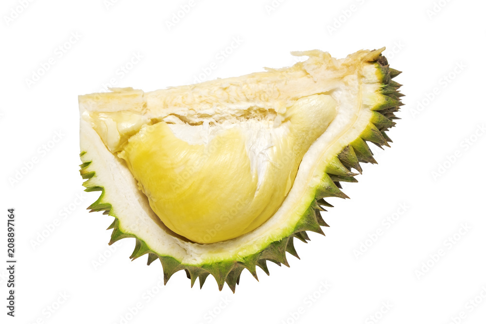 Ripe Durian on iSolated White Background. Yummy Asian King of Fruits. Ripe Durian on iSolated White Background. Yummy Asian King of Fruits.
