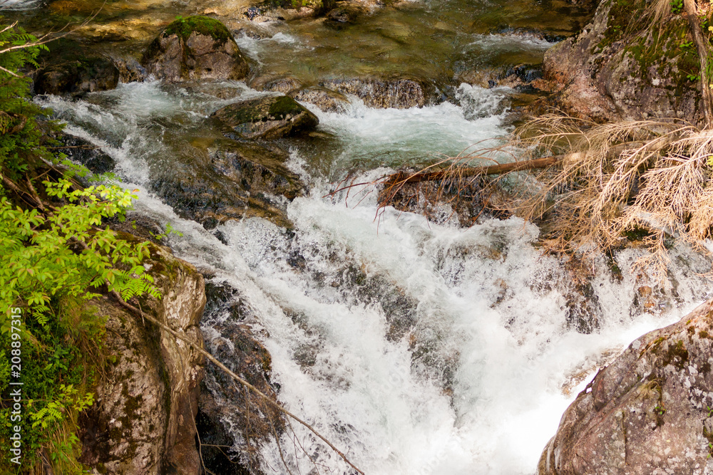 close up of small water fall in a dense forest