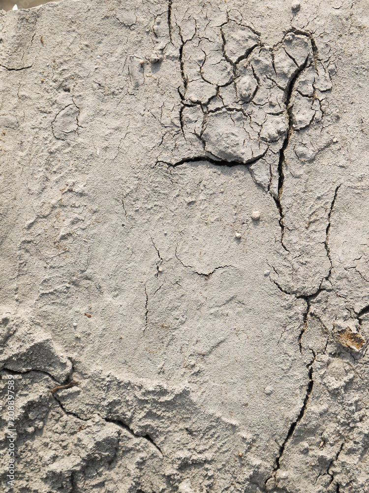 Obraz premium Mud texture: wet cracked ground